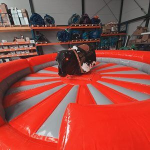 Seitenansicht des aufgebauten Rodeobullen